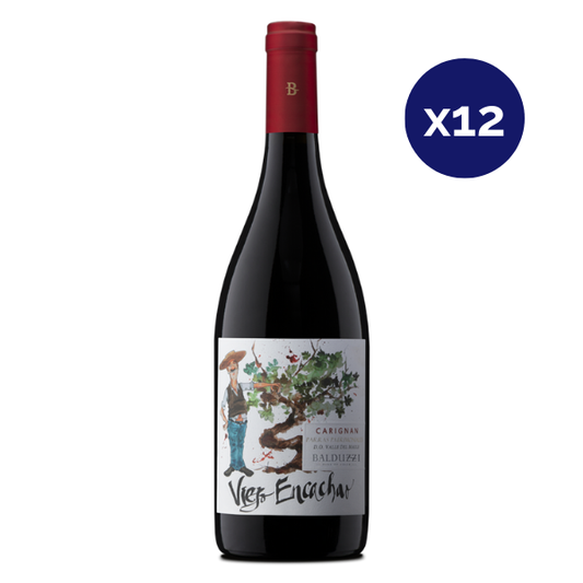 Balduzzi - Caja 12 - Viejo Encachao - Gran Reserva - Carignan