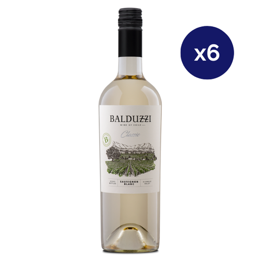 Balduzzi - Caja 6 - Classic - Sauvignon Blanc