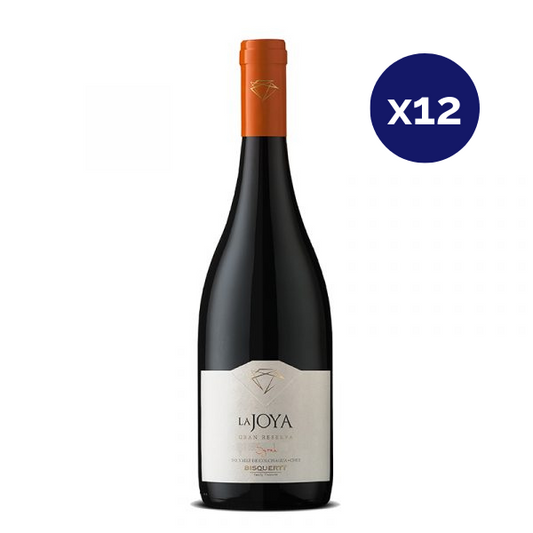 Bisquertt - Caja 12 - La Joya - Gran Reserva - Syrah