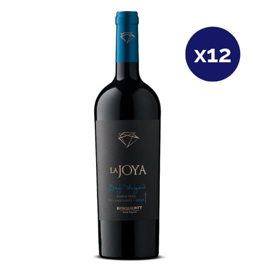 Bisquertt - Caja 12 - La Joya - Single Vineyard - Carmenere