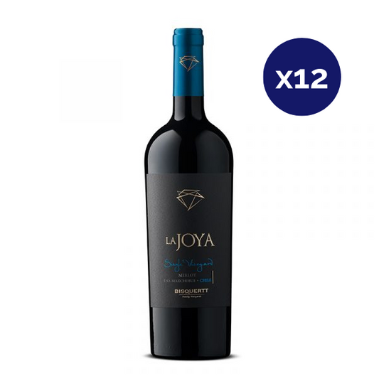 Bisquertt - Caja 12 - La Joya - Single Vineyard - Merlot