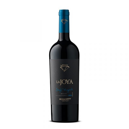 Bisquertt - La Joya - Single Vineyard - Merlot