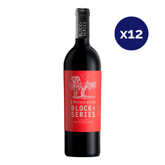 Bouchon - Caja 12 - Block Series - Gran Reserva - Carmenere