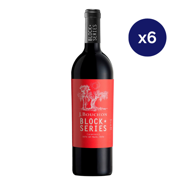 Bouchon - Caja 6 - Block Series - Gran Reserva - Carmenere