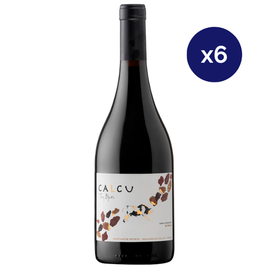 Calcu - Caja 6 - Tiny Blocks - Gran Reserva - Syrah