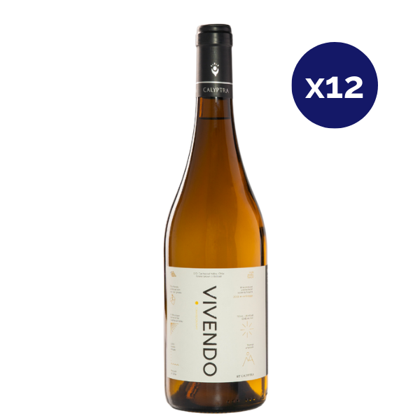 Calyptra - Caja 12 - Vivendo - Gran Reserva - Chardonnay