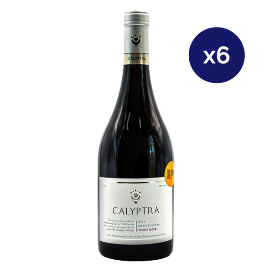 Calyptra - Caja 6 - Calyptra Gran - Premium - Pinot Noir