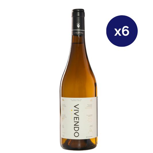 Calyptra - Caja 6 - Vivendo - Gran Reserva - Chardonnay