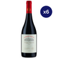 Cousiño Macul - Caja 6 - Antiguas Reservas - Gran Reserva - Syrah