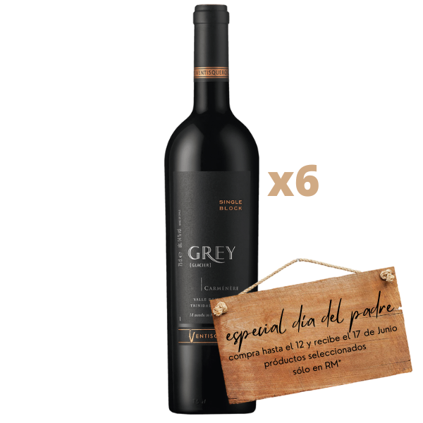 Ventisquero - Grey - Especial Papa 2022 - Carmenere