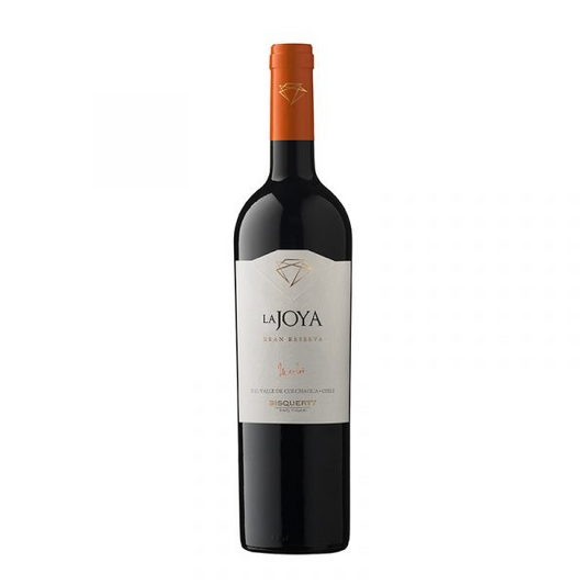 Bisquertt - La Joya - Gran Reserva - Merlot