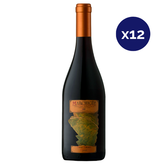 Marchigue - Caja 12 - Mapa - Ultra Premium - Syrah