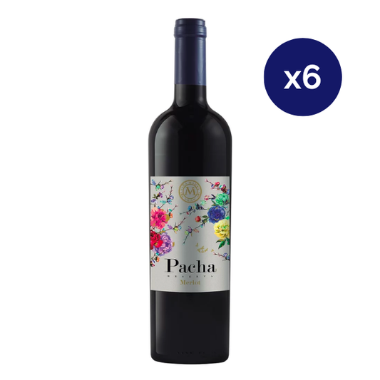 Marty - Caja 6 - Ser - Super Premium - Carmenere