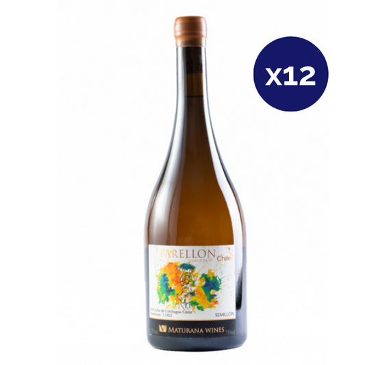 Maturana - Caja 12 - Parellon - Premium - Semillon