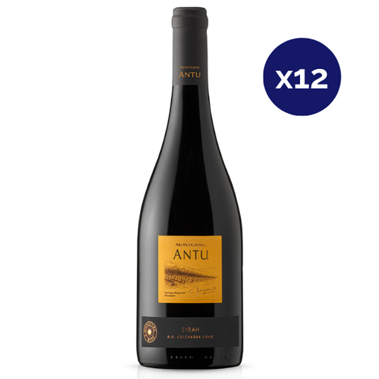 Montgras - Caja 12 - Antu - Premium - Syrah