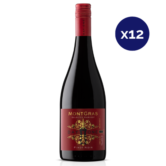 Montgras - Caja 12 - Day One - Gran Reserva - Pinot Noir