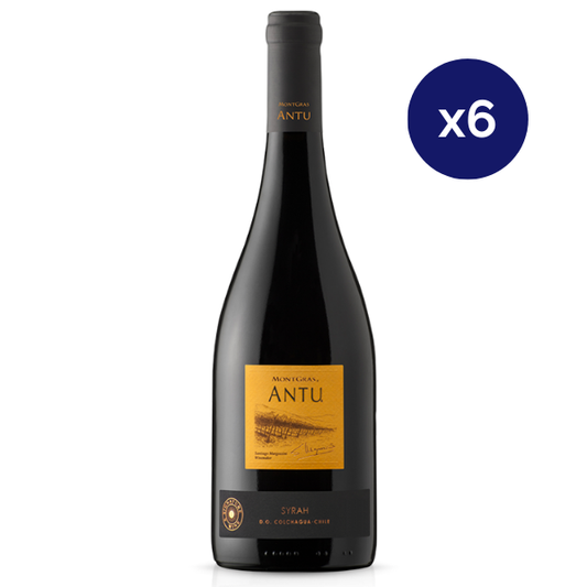 Montgras - Caja 6 - Antu - Premium - Syrah