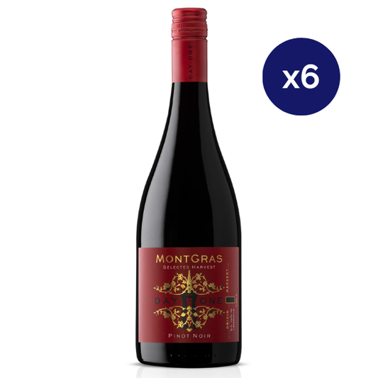 Montgras - Caja 6 - Day One - Gran Reserva - Pinot Noir