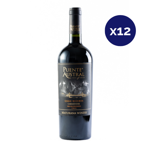 Puente Austral - Caja 12 - Puente Austral - Gran Reserva - Carmenere