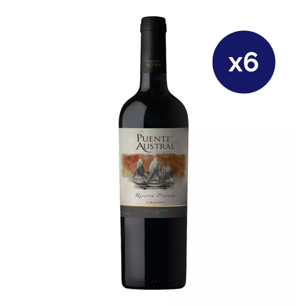 Puente Austral - Caja 6 - Puente Austral - Reserva Privada - Carmenere