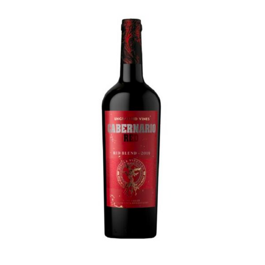 Santa Rita - Cabernario - Gran Reserva - Red Blend