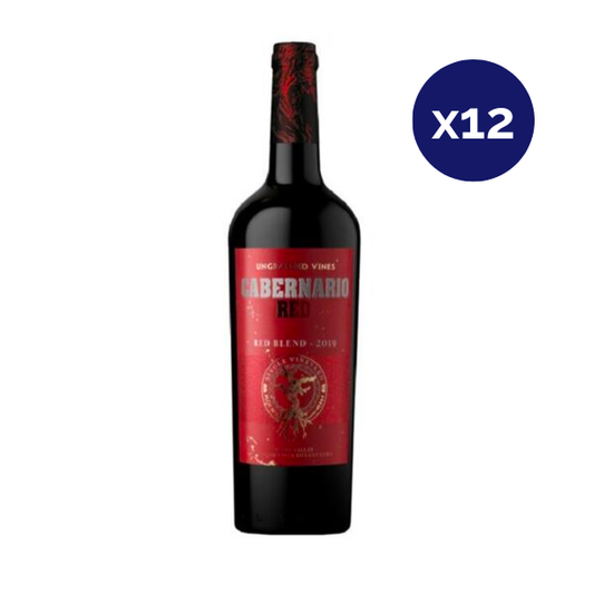 Santa Rita - Caja 12 - Cabernario - Gran Reserva - Red Blend