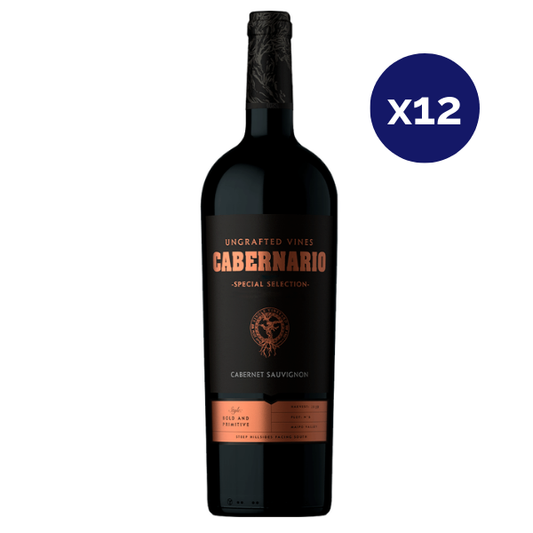 Santa Rita - Caja 12 - Cabernario Special Selection - Gran Reserva - Cabernet Sauvignon