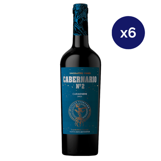 Santa Rita - Caja 6 - Cabernario - Gran Reserva - Carmenere