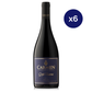 Carmen - Caja 6 - Carmen - Gran Reserva - Syrah