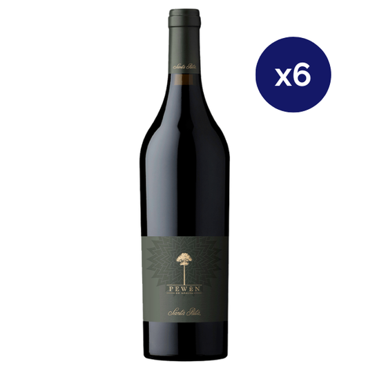 Santa Rita - Caja 6 - Pewen de Apalta - Icono - Carmenere