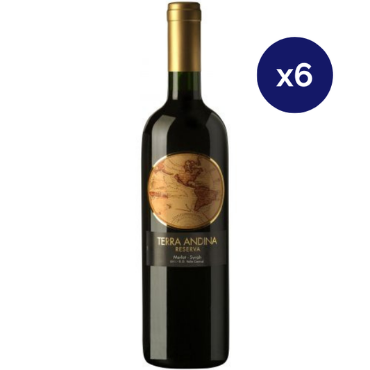 Terra Andina - Caja 6 - Terra Andina - Reserva - Merlot / Syrah