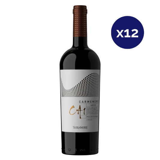 Terra Noble - Caja 12 - CA1 Andes - Super Premium - Carmenere