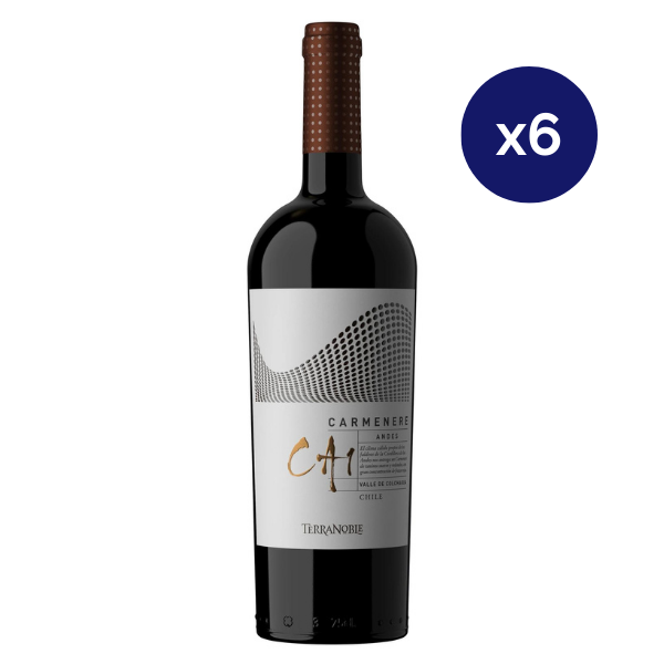 Terra Noble - Caja 6 - CA1 Andes - Super Premium - Carmenere