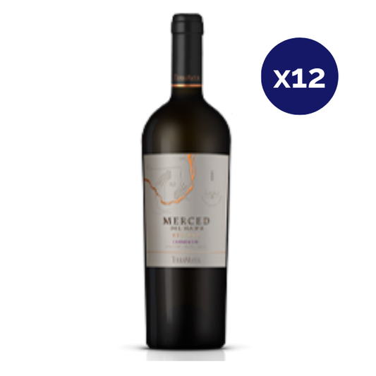 Terramater - Caja 12 - Merced del Maipo - Premium - Carmenere