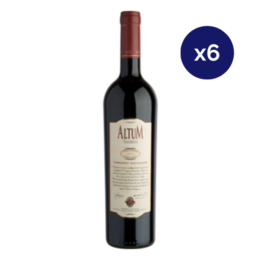 Terramater - Caja 6 - Altum - Premium - Cabernet Sauvignon