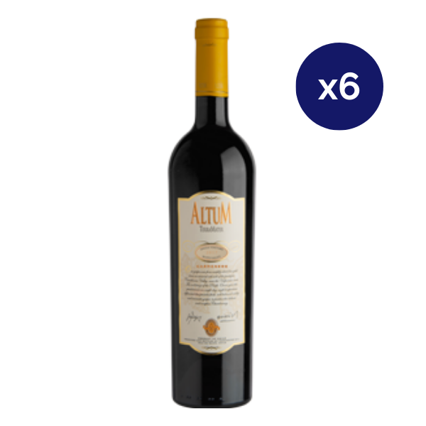 Terramater - Caja 6 - Altum - Premium - Carmenere