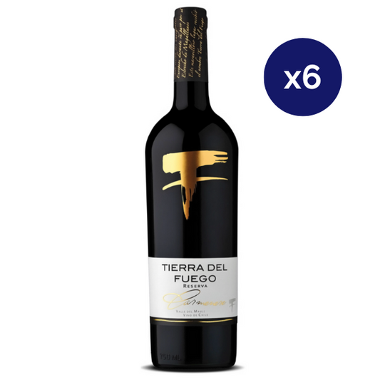 Tierra del Fuego - Caja 6 - Tierra del Fuego - Reserva - Carmenere