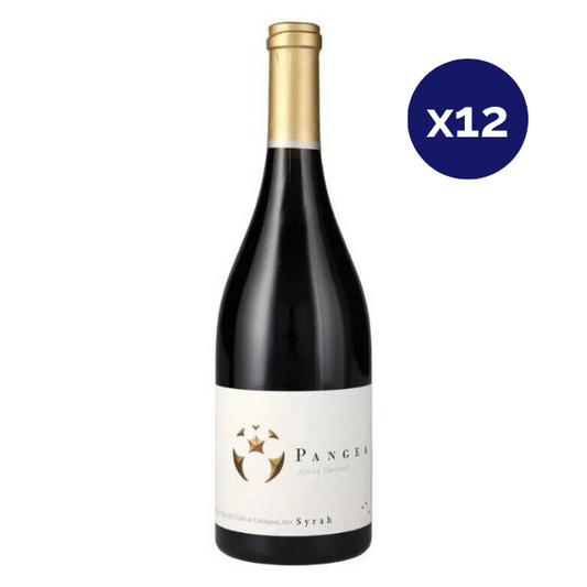 Ventisquero - Caja 12 - Pangea - Icono - Syrah