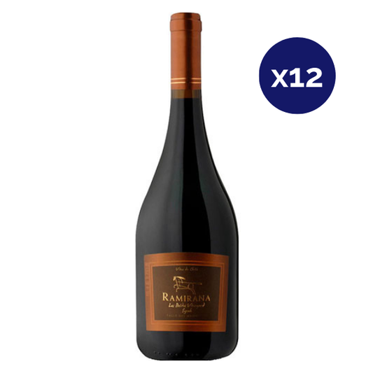 Ventisquero - Caja 12 - Ramirana - Premium Los Boldos - Syrah