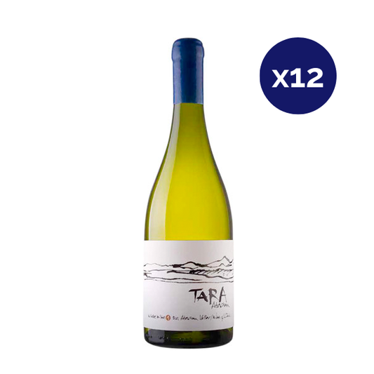 Ventisquero - Caja 12 - Tara - Super Premium - Chardonnay