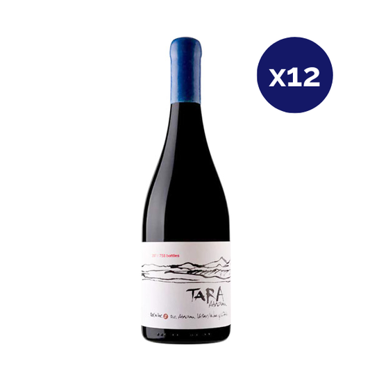 Ventisquero - Caja 12 - Tara - Super Premium - Pinot Noir