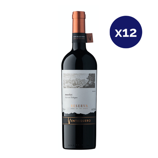 Ventisquero - Caja 12 - Ventisquero - Reserva - Merlot