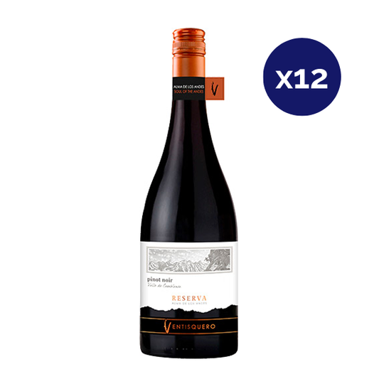 Ventisquero - Caja 12 - Ventisquero - Reserva - Pinot Noir