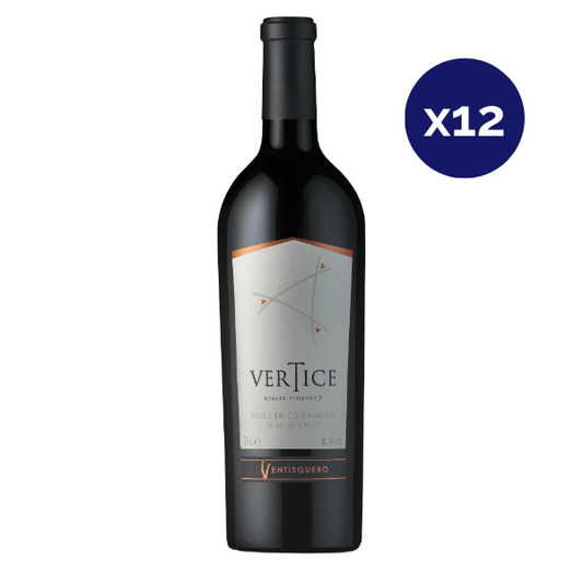 Ventisquero - Caja 12 - Vertice - Super Premium - Carmenere / Syrah