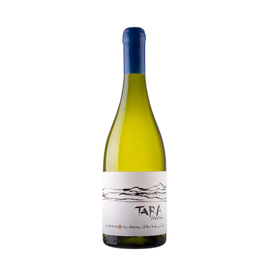 Ventisquero - Tara - Super Premium - Chardonnay